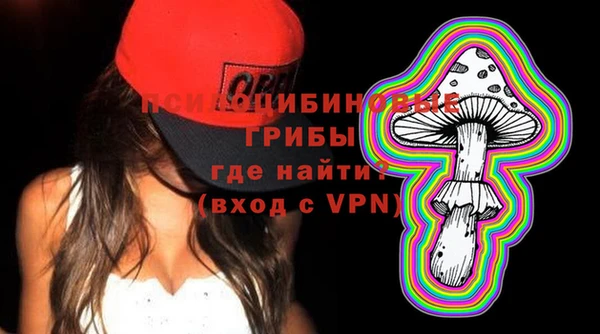 дурь Балахна