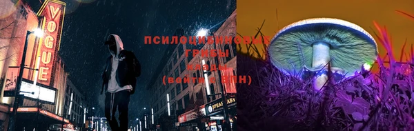 дурь Балахна